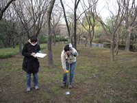 都市公園緑地における土壌硬度プロファイリング調査